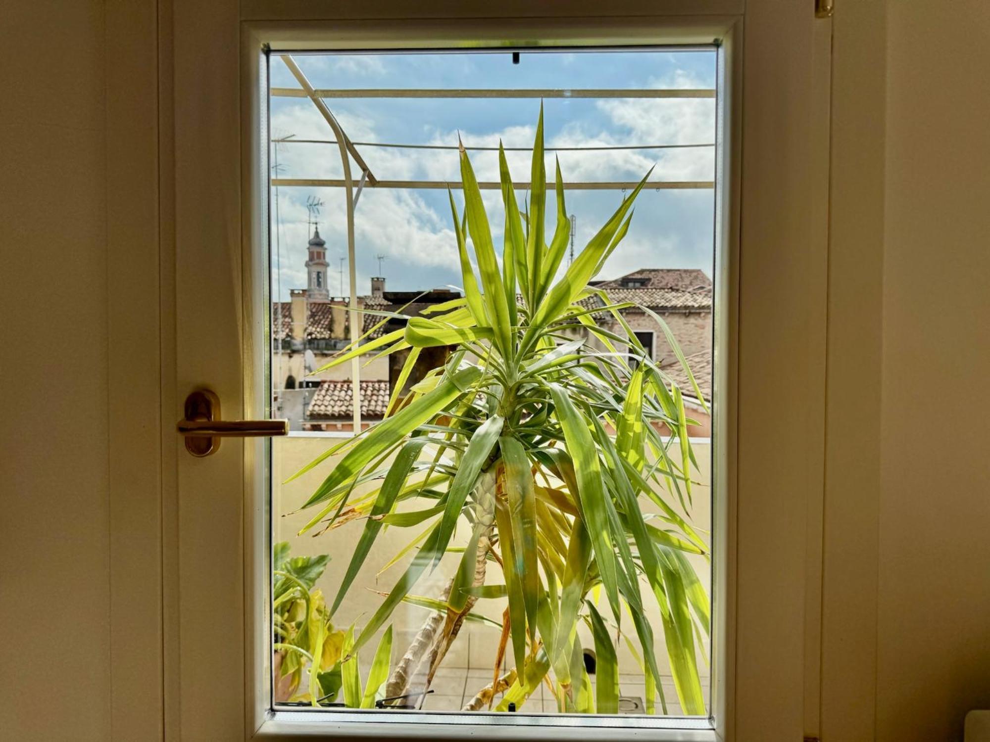 Ca D'oro Appartement *